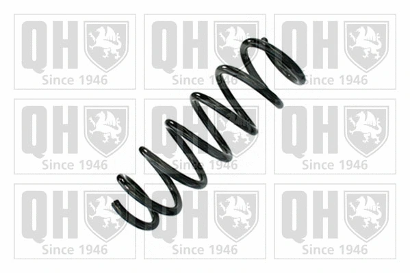 Suspension Spring (QCS9034)