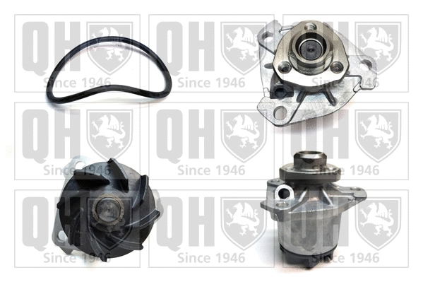 Water Pump, engine cooling (QCP3155)