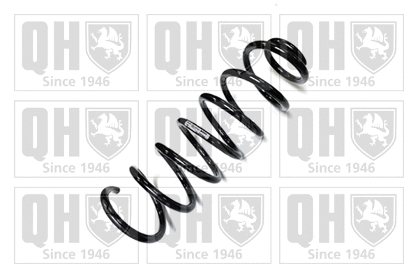 Suspension Spring (QCS7161)
