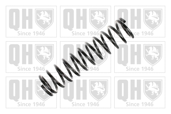 Suspension Spring (QCS7418)