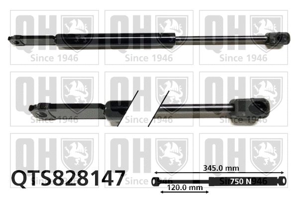 Gas Spring, bonnet (QTS828147)