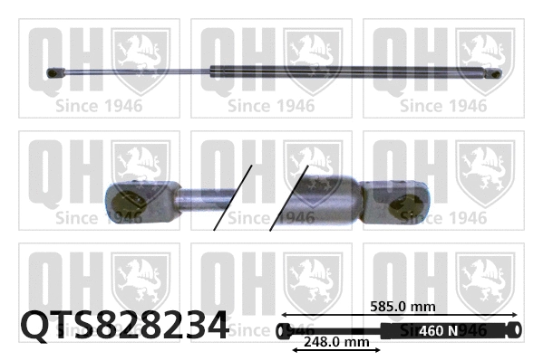 Gas Spring, boot/cargo area (QTS828234)