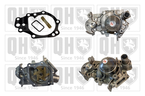 Water Pump, engine cooling (QCP3299)
