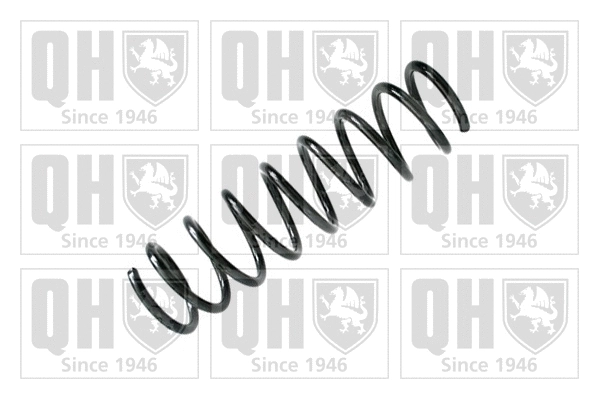 Suspension Spring (QCS7048)