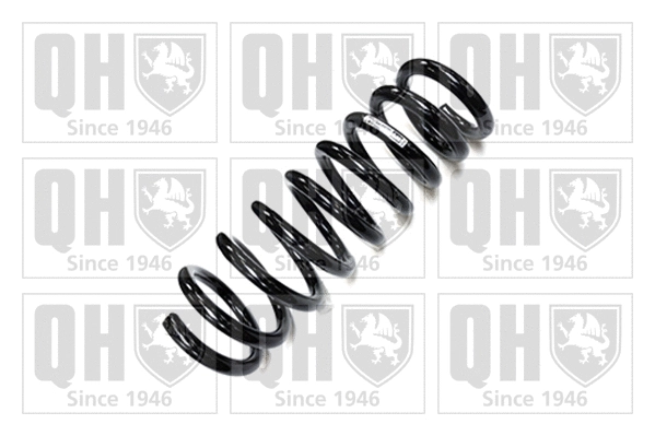 Suspension Spring (QCS8089)