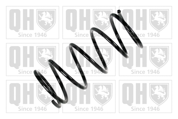 Suspension Spring (QCS7983)
