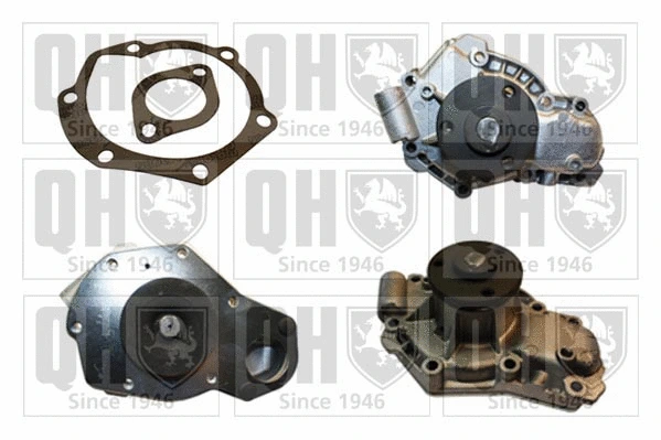 Water Pump, engine cooling (QCP3124)