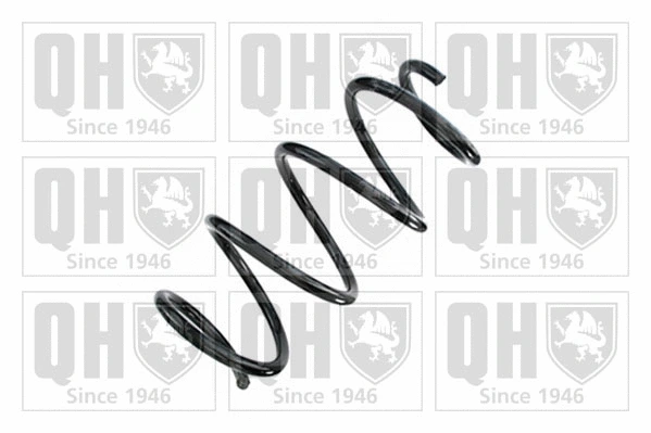Suspension Spring (QCS8963)