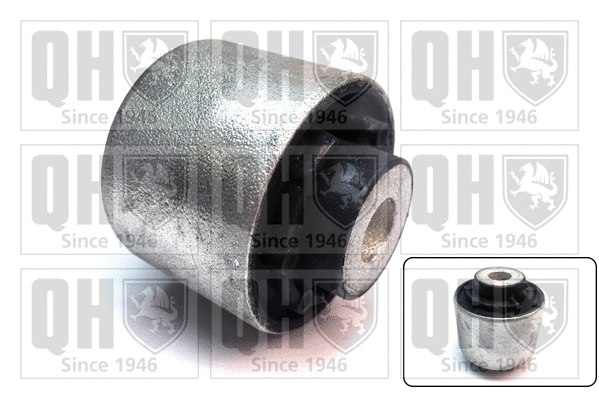Mounting, control/trailing arm (EMS8657)