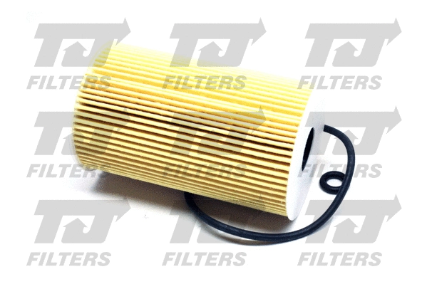 Oil Filter (QFL0220)
