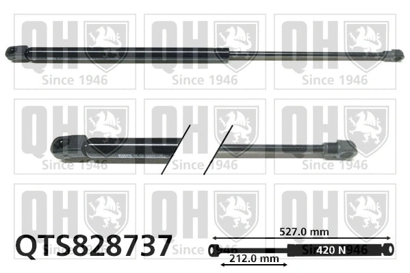 Gas Spring, boot/cargo area (QTS828737)