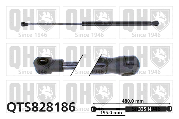 Gas Spring, boot/cargo area (QTS828186)