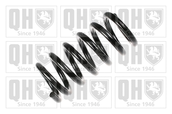 Suspension Spring (QCS7584)