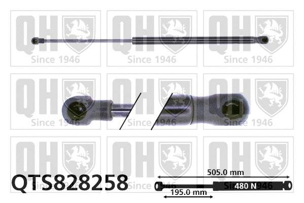 Gas Spring, boot/cargo area (QTS828258)