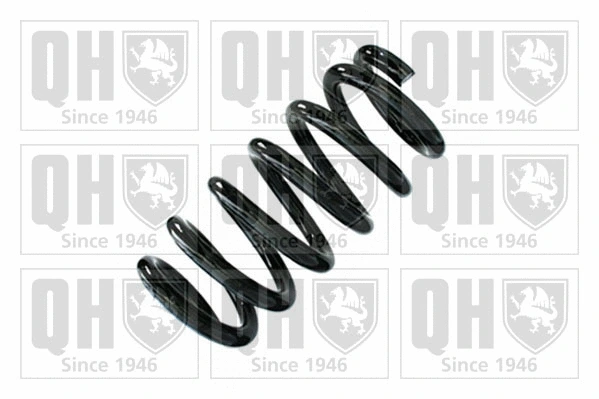 Suspension Spring (QCS8946)