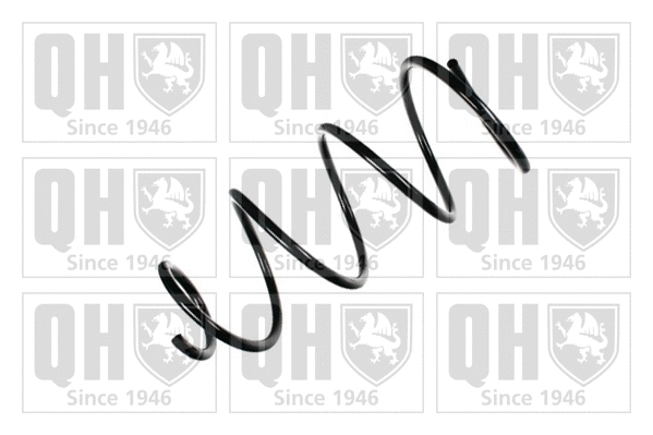 Suspension Spring (QCS6153)