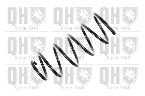 Suspension Spring (QCS6120)