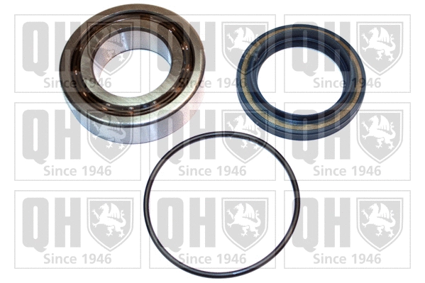 Wheel Bearing Kit (QWB194C)