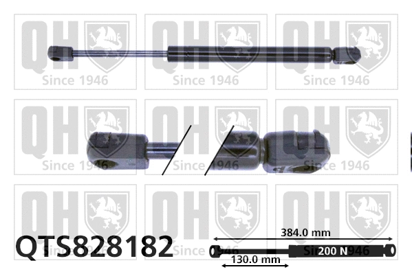 Gas Spring, rear window (QTS828182)