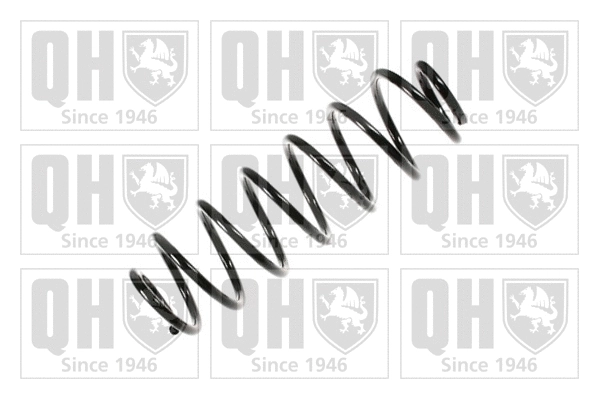 Suspension Spring (QCS7132)