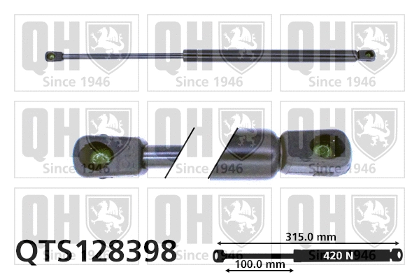 Gas Spring, boot/cargo area (QTS128398)