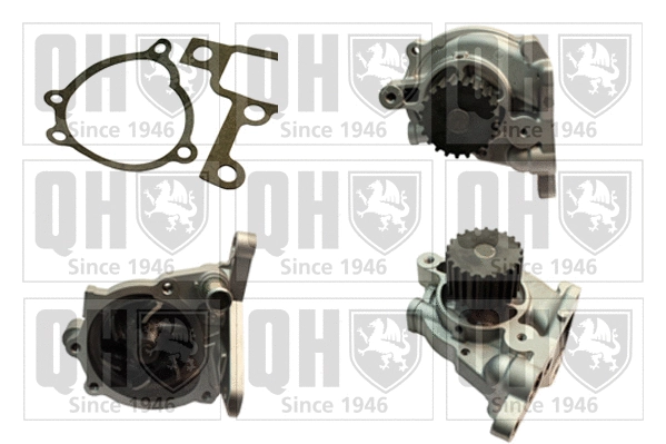 Water Pump, engine cooling (QCP3169)