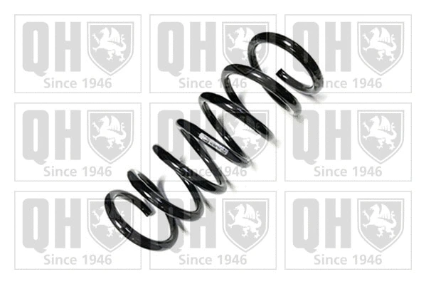 Suspension Spring (QCS6792)