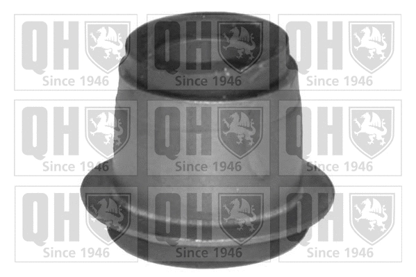Mounting, control/trailing arm (EMS8109)