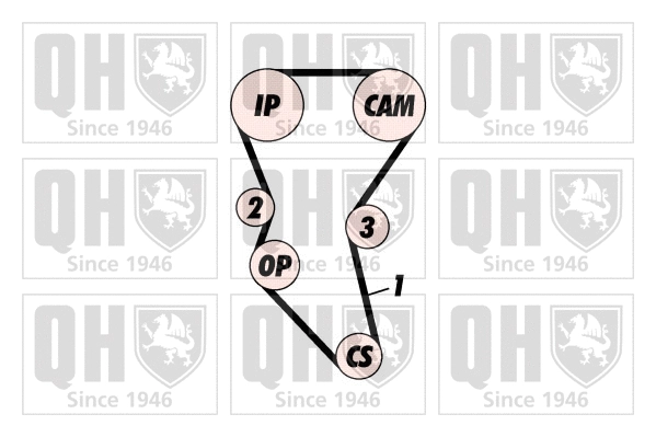 Timing Belt Kit (QBK135)