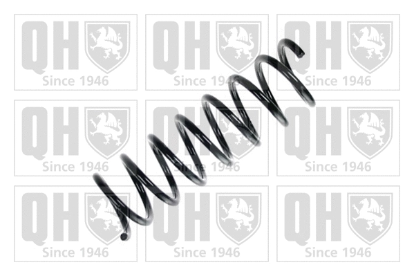 Suspension Spring (QCS6144)