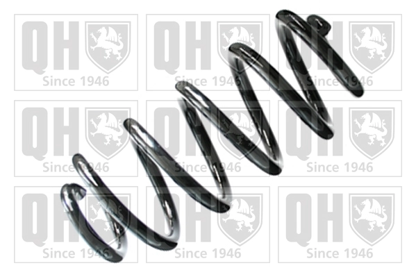 Suspension Spring (QCS8338)
