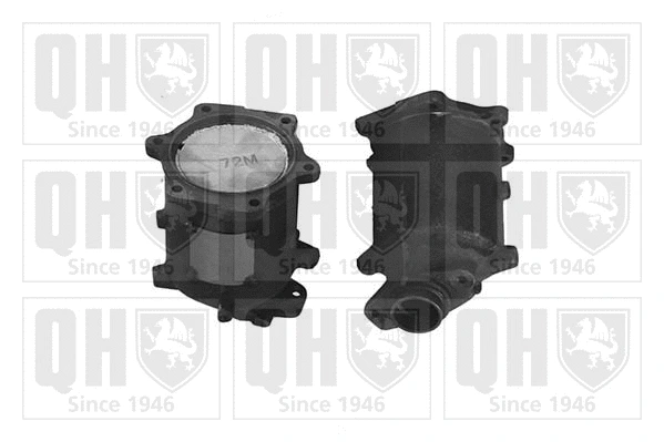 Catalytic Converter (QCAT91259H)