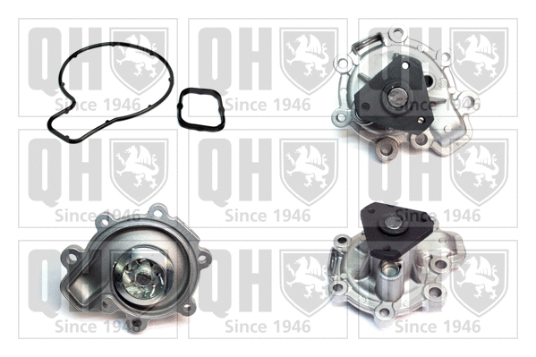 Water Pump, engine cooling (QCP3832)