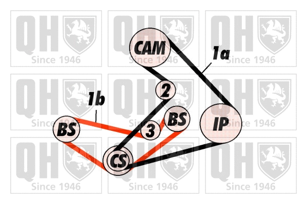 Timing Belt Kit (QBK415)