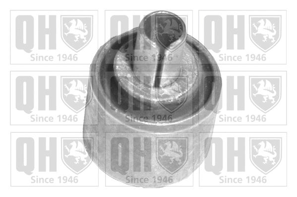 Mounting, control/trailing arm (EMS8105)