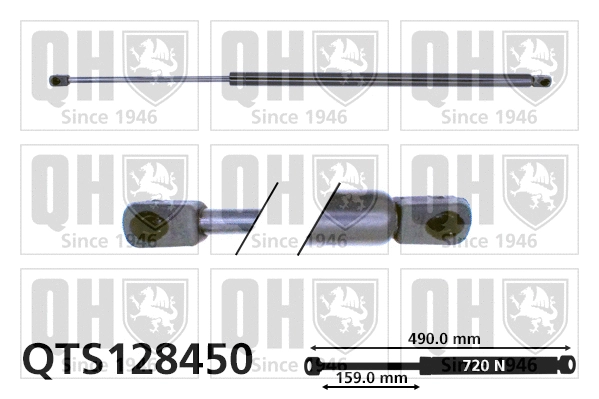 Gas Spring, boot/cargo area (QTS128450)