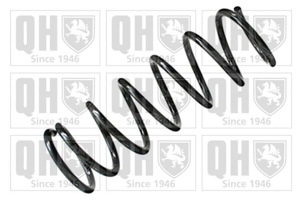 Suspension Spring (QCS5692)