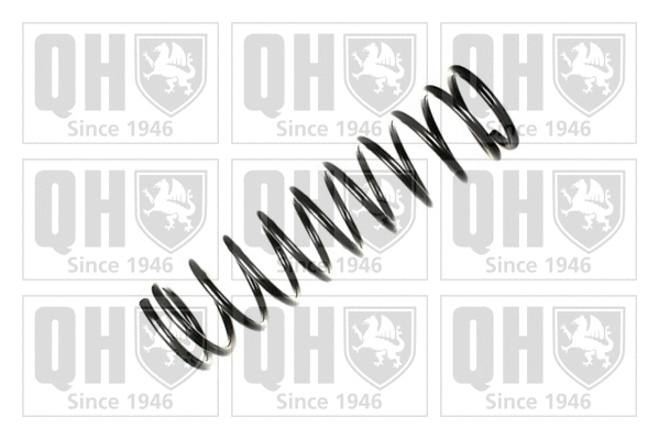 Suspension Spring (QCS8061)