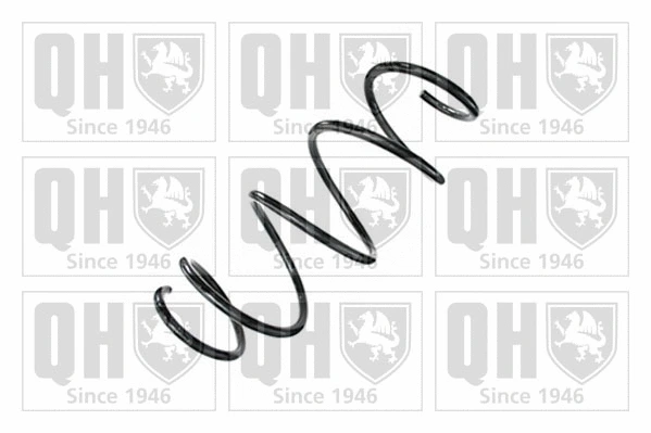 Suspension Spring (QCS8706)
