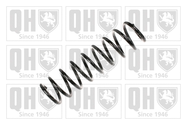 Suspension Spring (QCS7487)