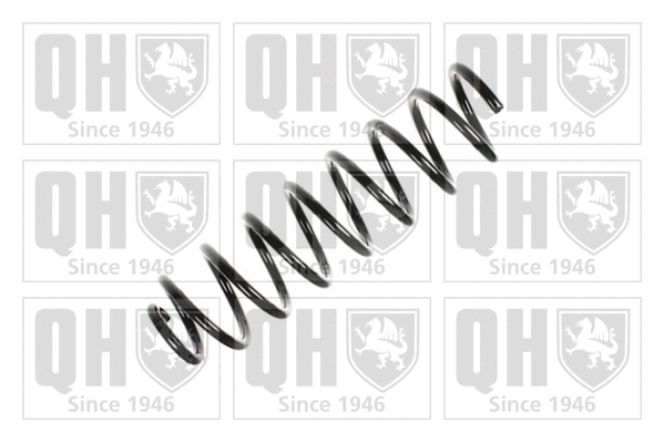 Suspension Spring (QCS5447)