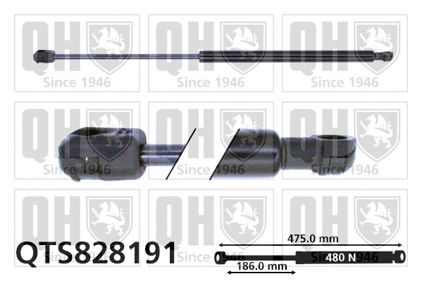 Gas Spring, boot/cargo area (QTS828191)
