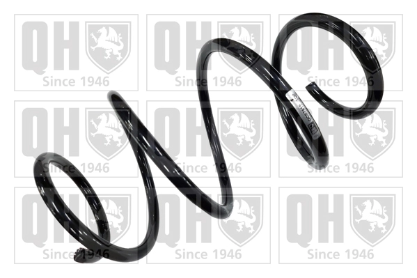Suspension Spring (QCS7819)