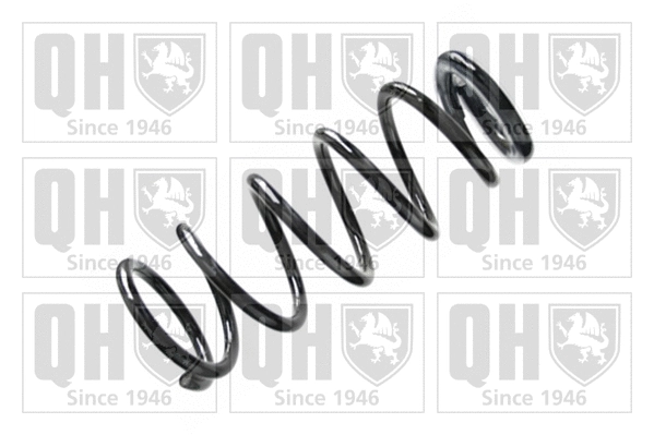 Suspension Spring (QCS8169)