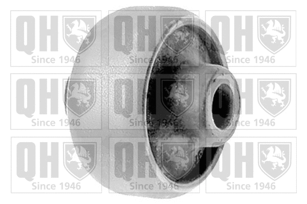 Mounting, control/trailing arm (EMS8282)