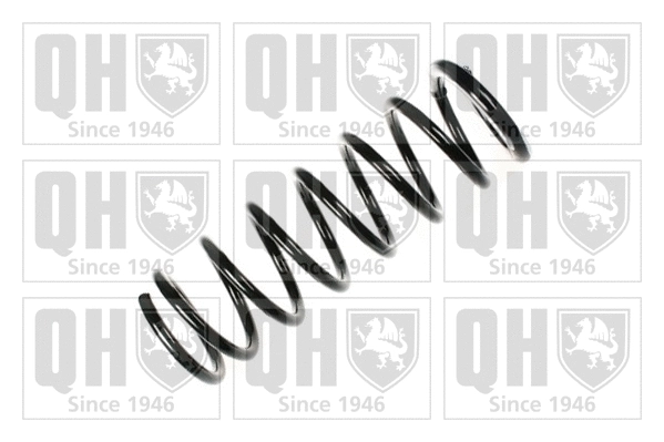 Suspension Spring (QCS6106)