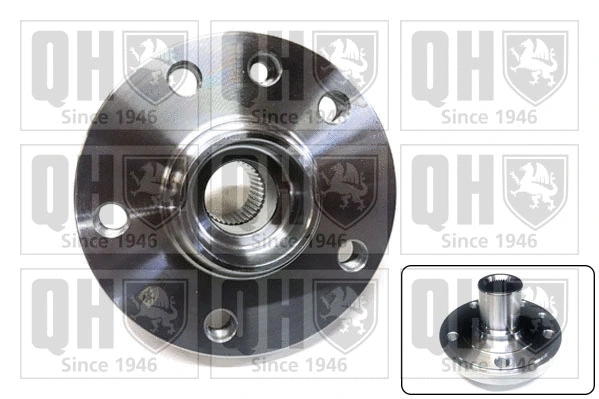 Wheel Hub (QWH199)