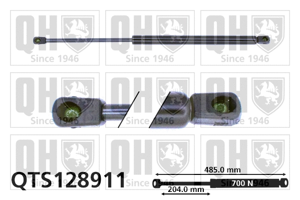 Gas Spring, boot/cargo area (QTS128911)
