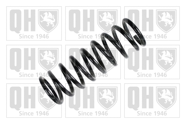Suspension Spring (QCS5471)