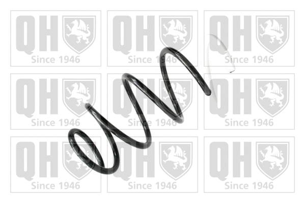 Suspension Spring (QCS6621)